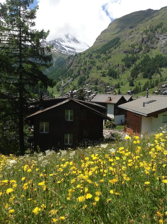 Apartment Oberhausern Zermatt Exterior photo